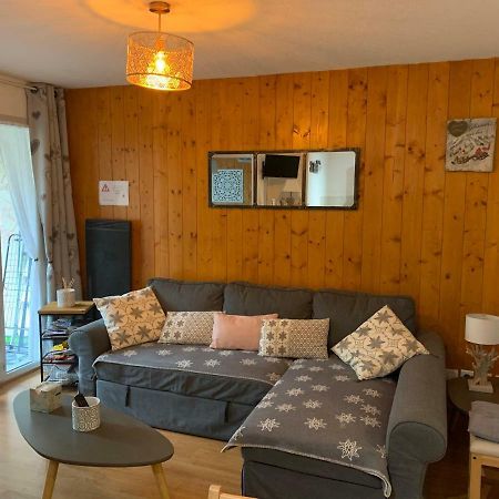 Appartement Tt Confort Au Coeur Des Montagnes Avec Vue Sur Les Montagnes Wifi Luz-Saint-Sauveur Eksteriør bilde