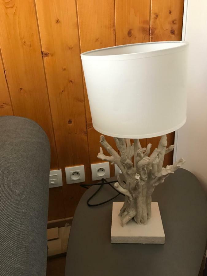 Appartement Tt Confort Au Coeur Des Montagnes Avec Vue Sur Les Montagnes Wifi Luz-Saint-Sauveur Eksteriør bilde