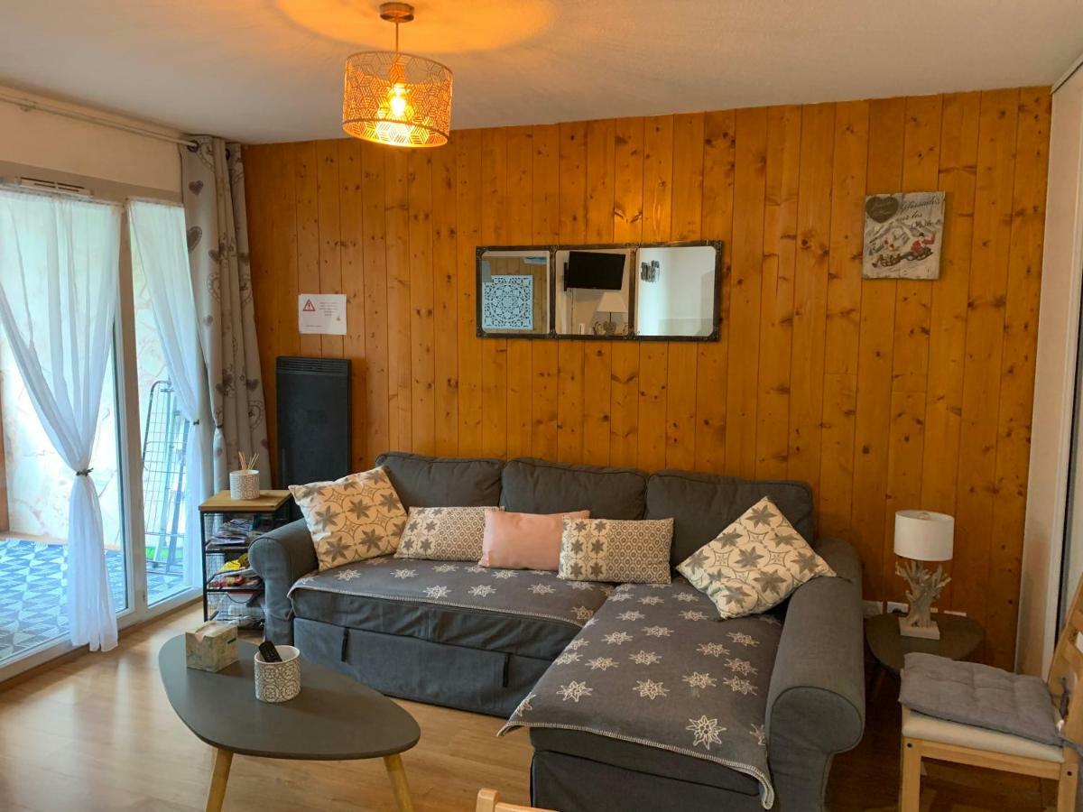Appartement Tt Confort Au Coeur Des Montagnes Avec Vue Sur Les Montagnes Wifi Luz-Saint-Sauveur Eksteriør bilde